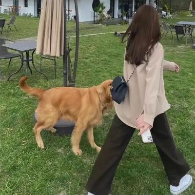 5个吓鬼的少年